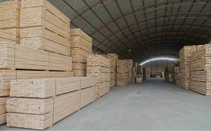 Tim Feng factory campus