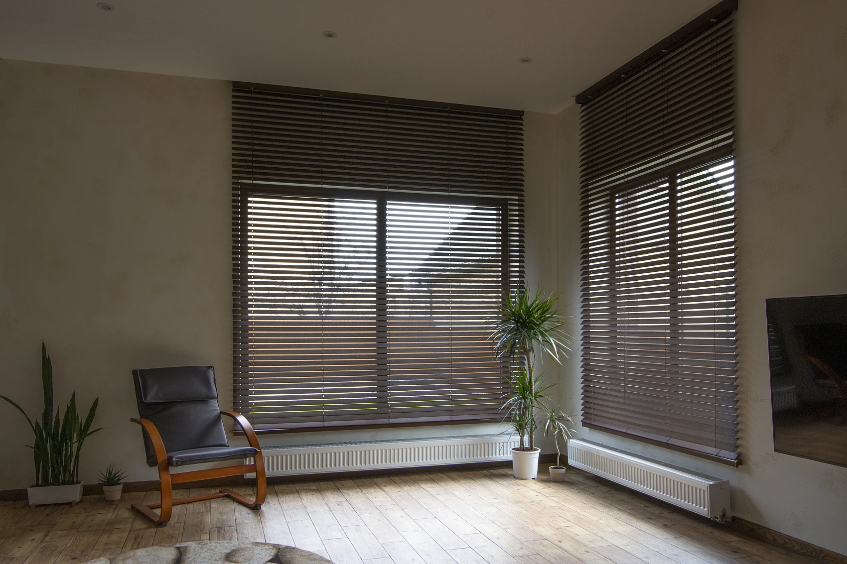 Basswood wood blinds inspiration image